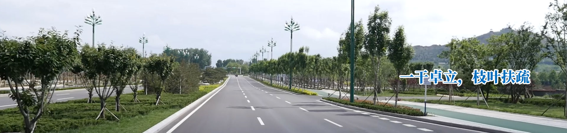 聯(lián)系方式